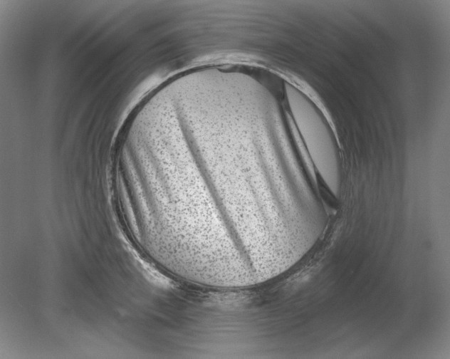 X0000080720997200701021049