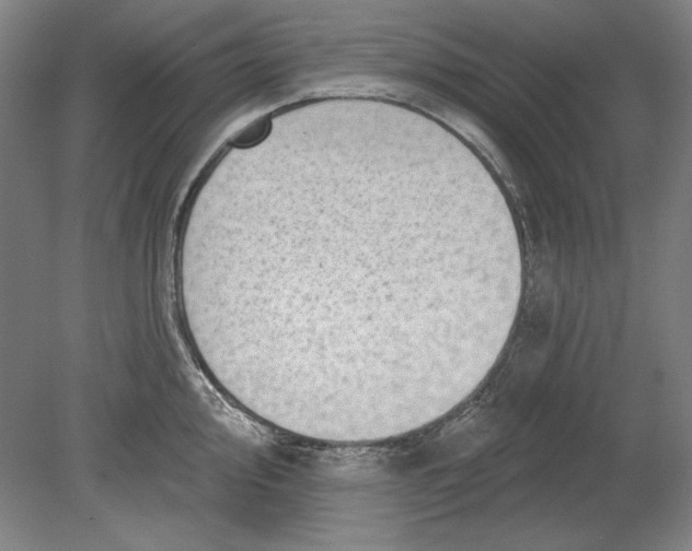 X0000080721000200701021049