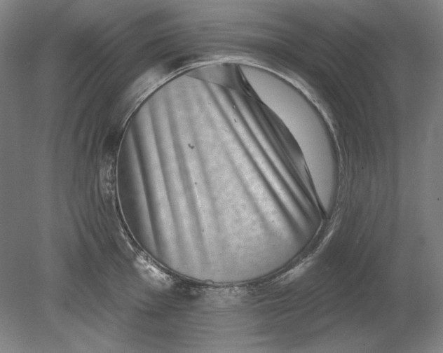 X0000080721001200701021049