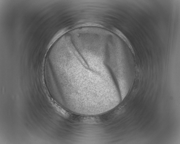 X0000080721002200701021049