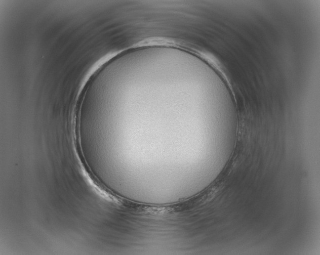 X0000080721003200701021049