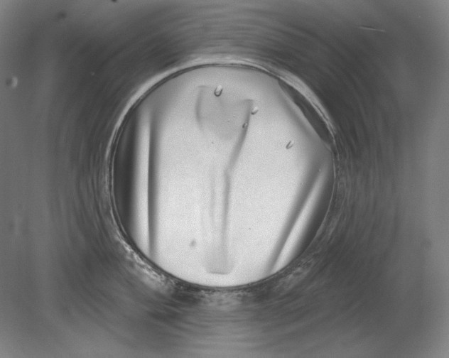 X0000080721004200701021049