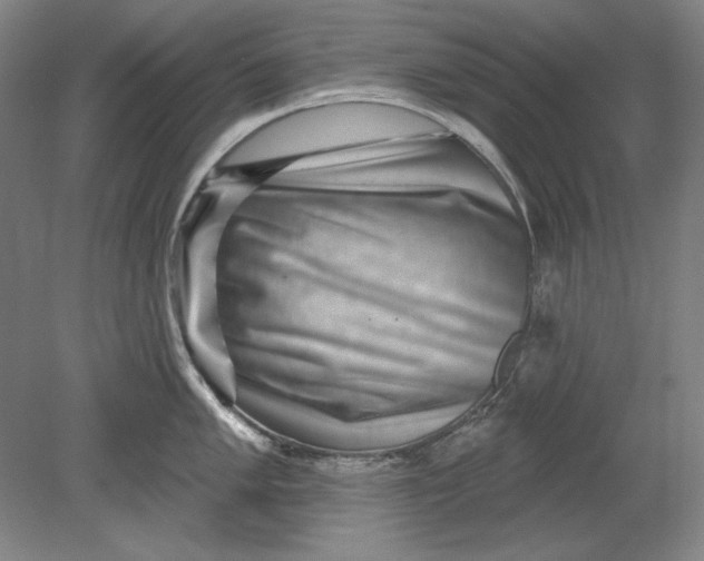 X0000080721005200701021049