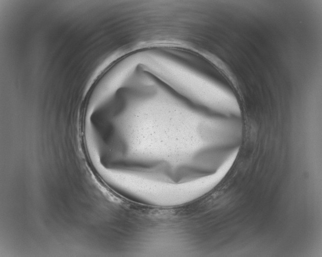 X0000080721006200701021049