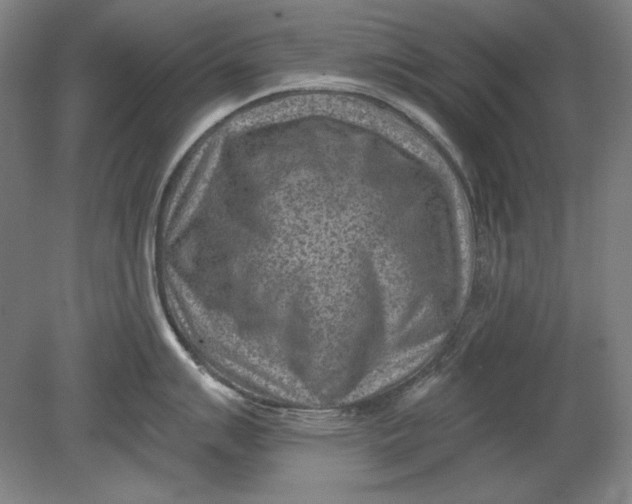 X0000080721007200701021049