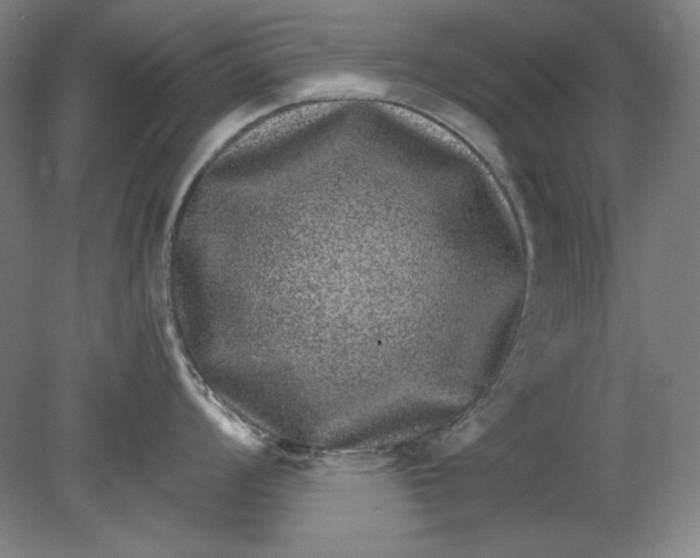 X0000080721008200701021049