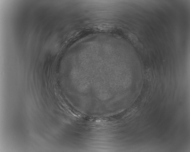 X0000080721009200701021048