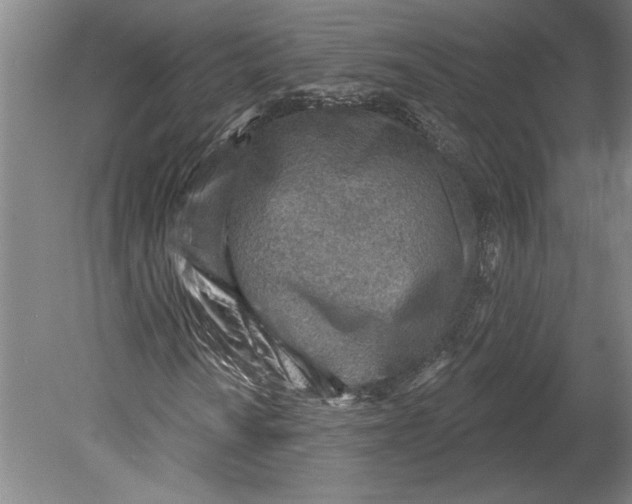 X0000080721010200701021048