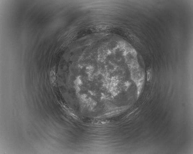 X0000080721011200701021048