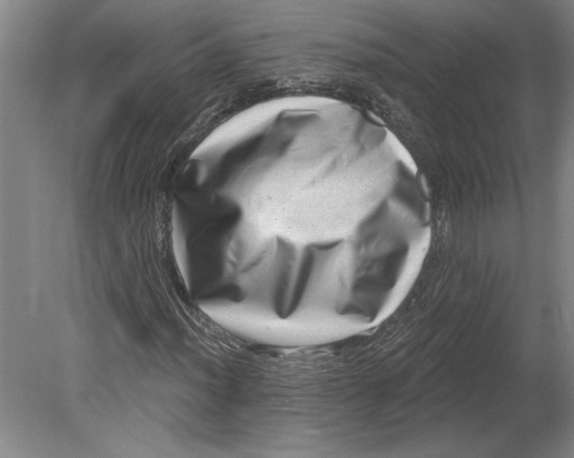 X0000080721012200701021048