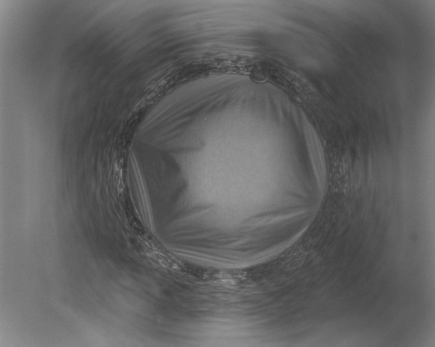 X0000080721013200701021048