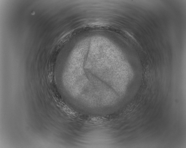 X0000080721015200701021048