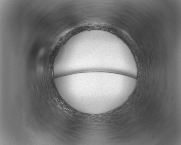 X0000080721016200701021048