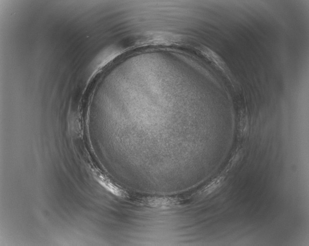 X0000080721018200701021049