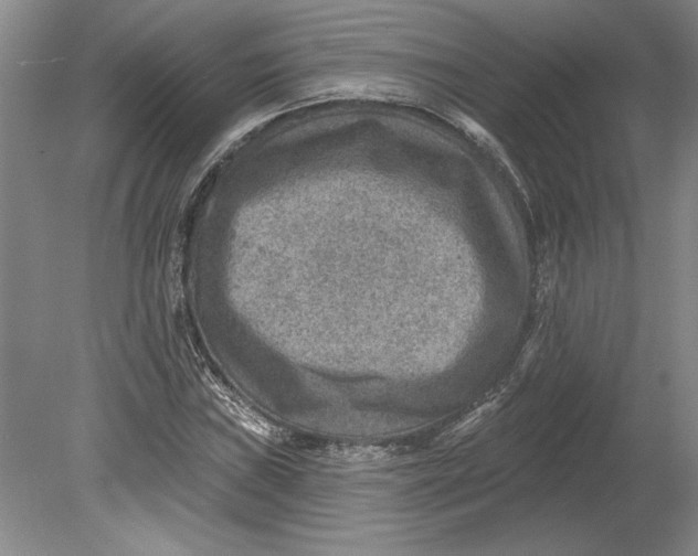 X0000080721019200701021049