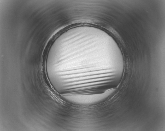 X0000080721020200701021049