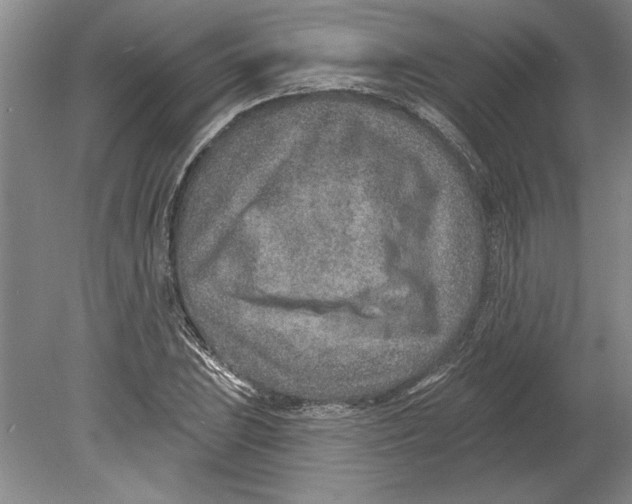 X0000080721023200701021049