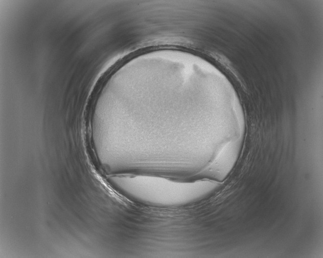 X0000080721024200701021049