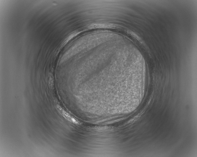 X0000080721025200701021049