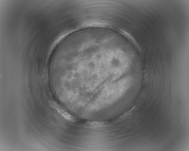 X0000080721027200701021049