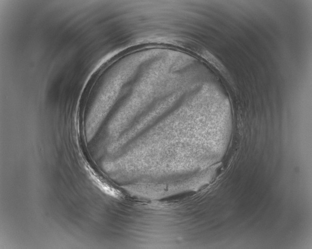 X0000080721028200701021049