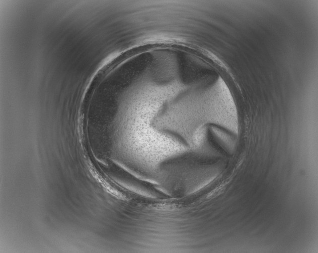 X0000080721029200701021049