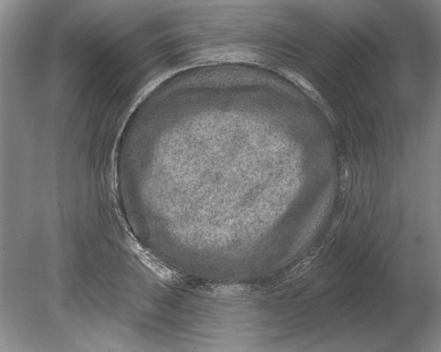 X0000080721031200701021049