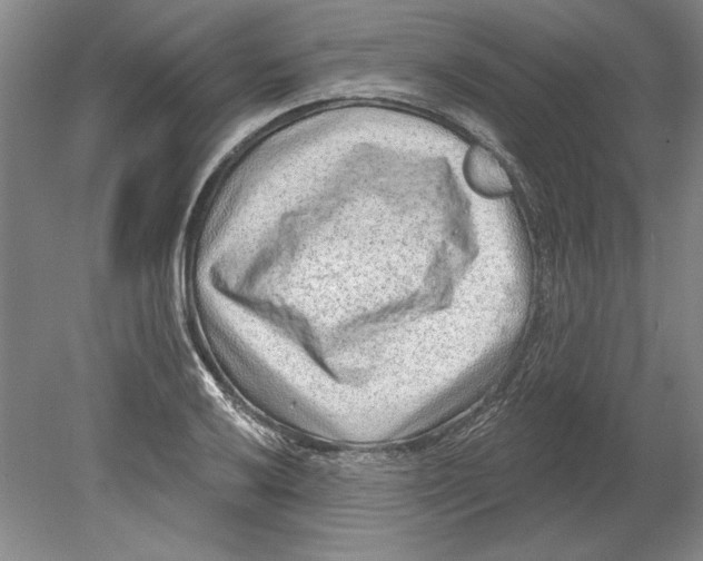 X0000080721032200701021049