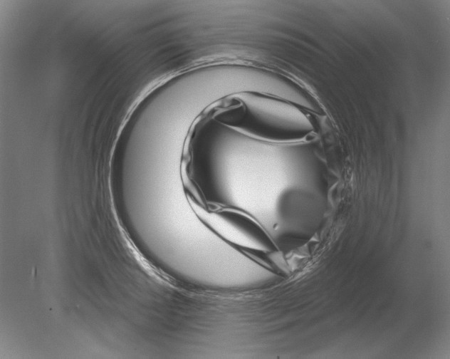 X0000080721034200701021049