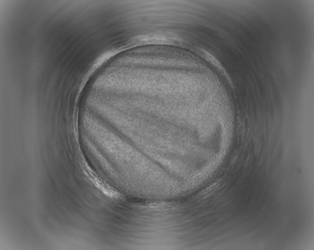 X0000080721035200701021049