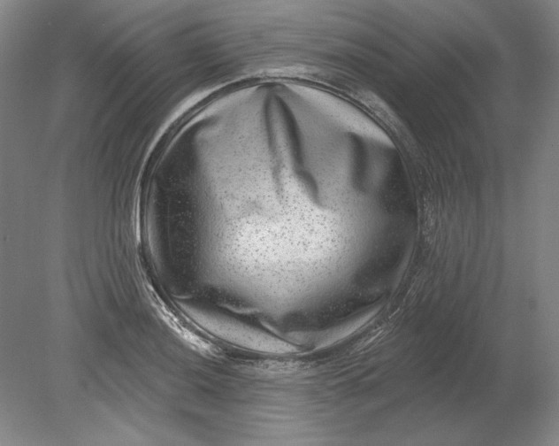 X0000080721036200701021049