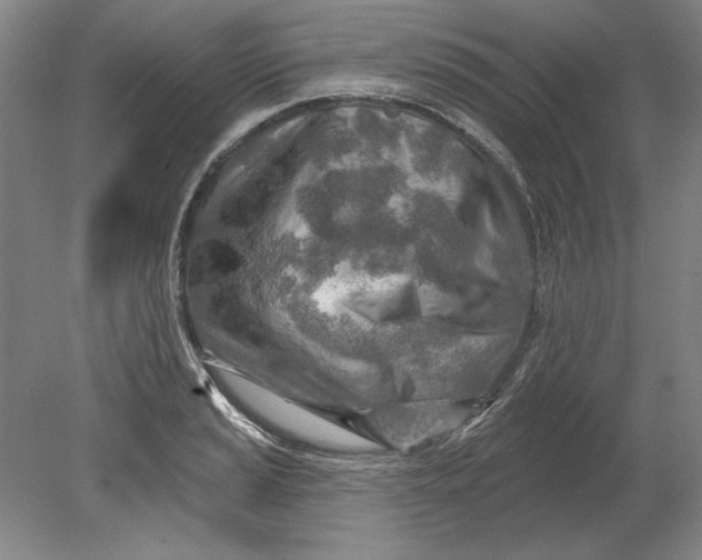 X0000080721037200701021049