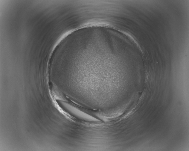 X0000080721038200701021049