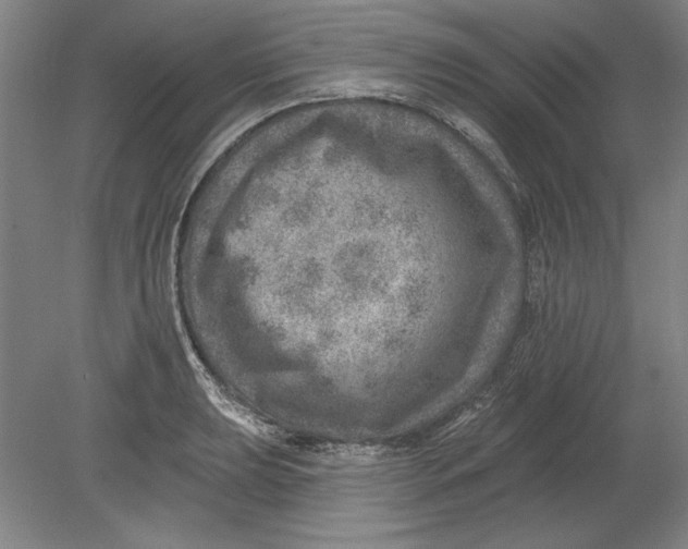 X0000080721039200701021049