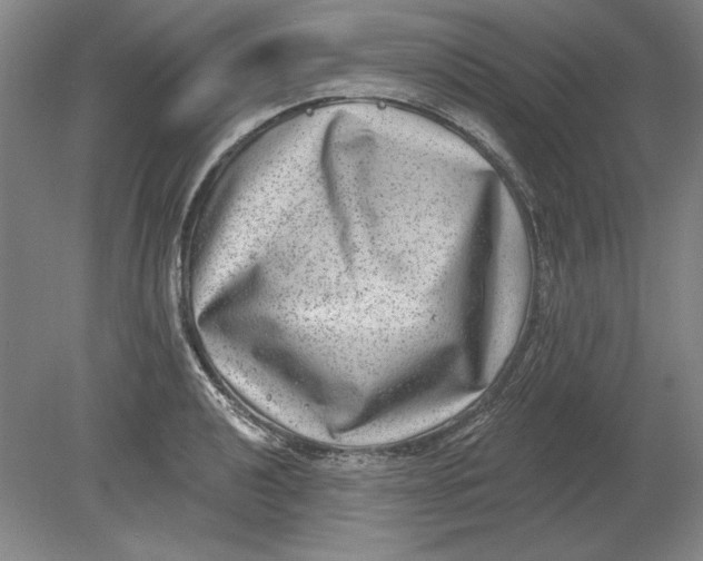 X0000080721040200701021049