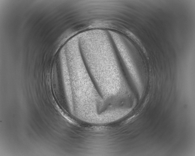 X0000080721041200701021049