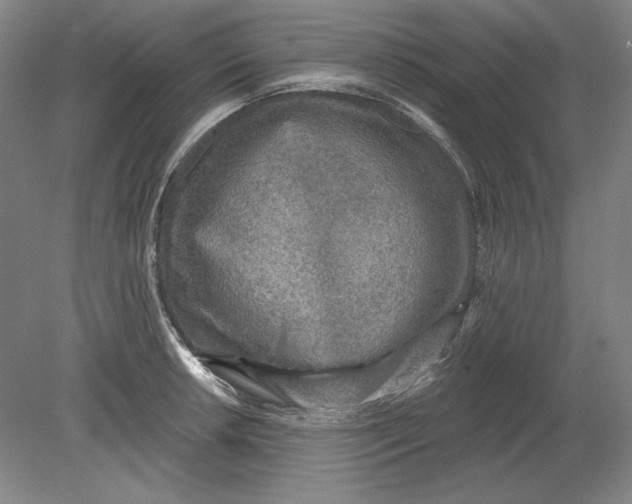 X0000080721042200701021049