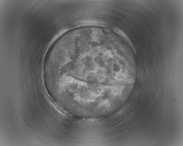 X0000080721043200701021049