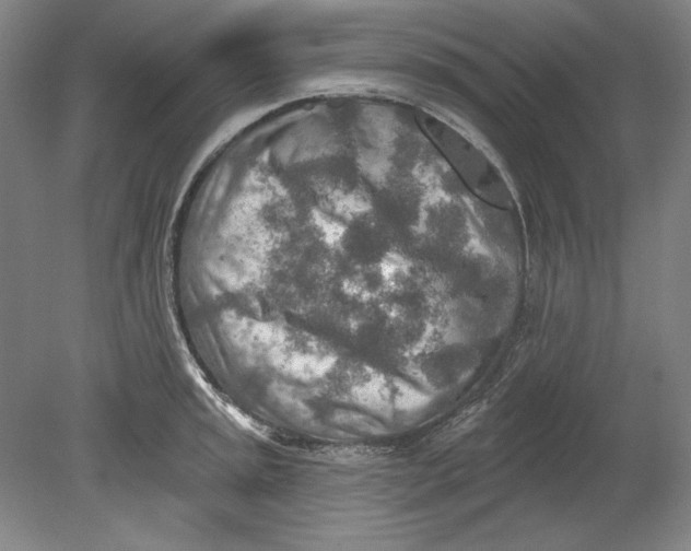 X0000080721045200701021049