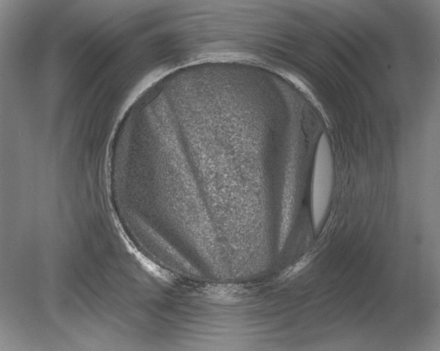 X0000080721046200701021049