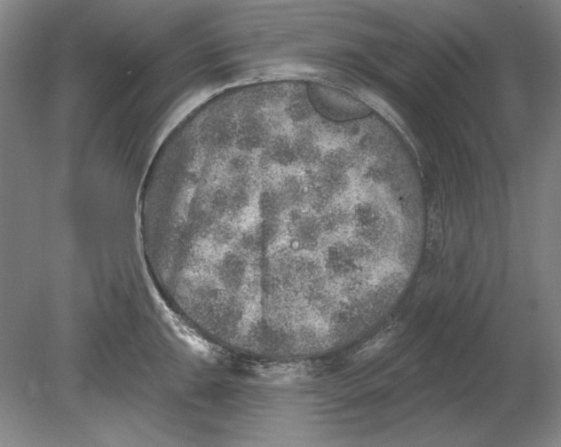 X0000080721047200701021049