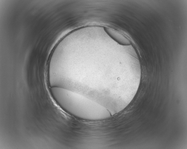 X0000080721048200701021049