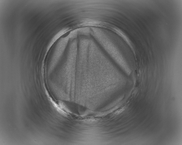 X0000080721050200701021049