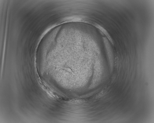 X0000080721051200701021049