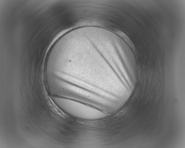 X0000080721052200701021049