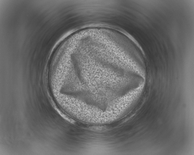 X0000080721053200701021049