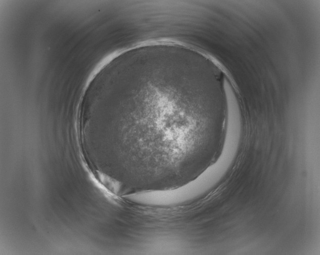 X0000080721054200701021049