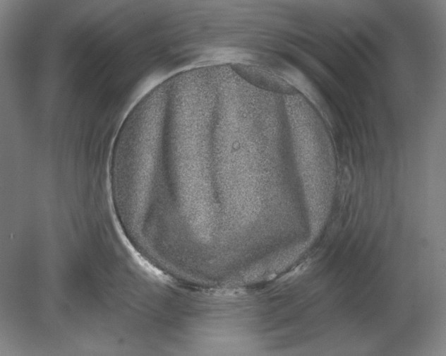 X0000080721055200701021049