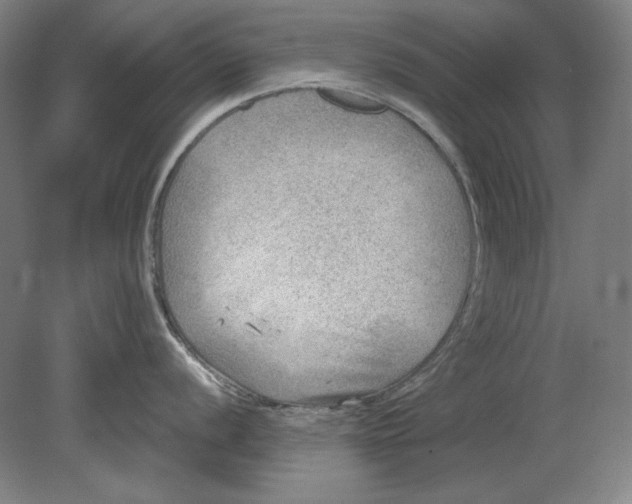 X0000080721056200701021049