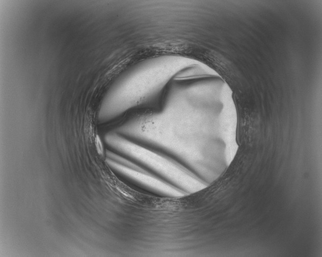 X0000080721058200701021048